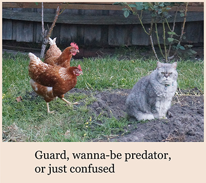 GUARD_IMAGE
